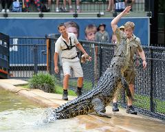 Australia Zoo: Croc Connection