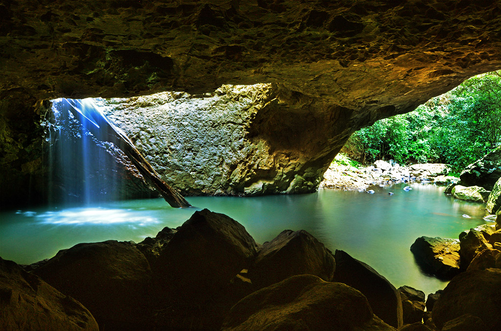 Private Tour of Springbrook & Tamborine Rainforest Tour