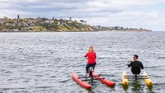 Frankston Upright Waterbike Tour