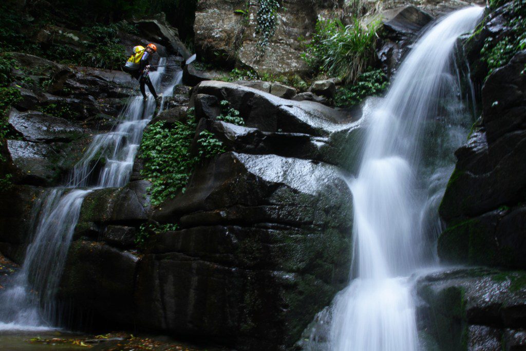 Rainforest Canyon Adventure
