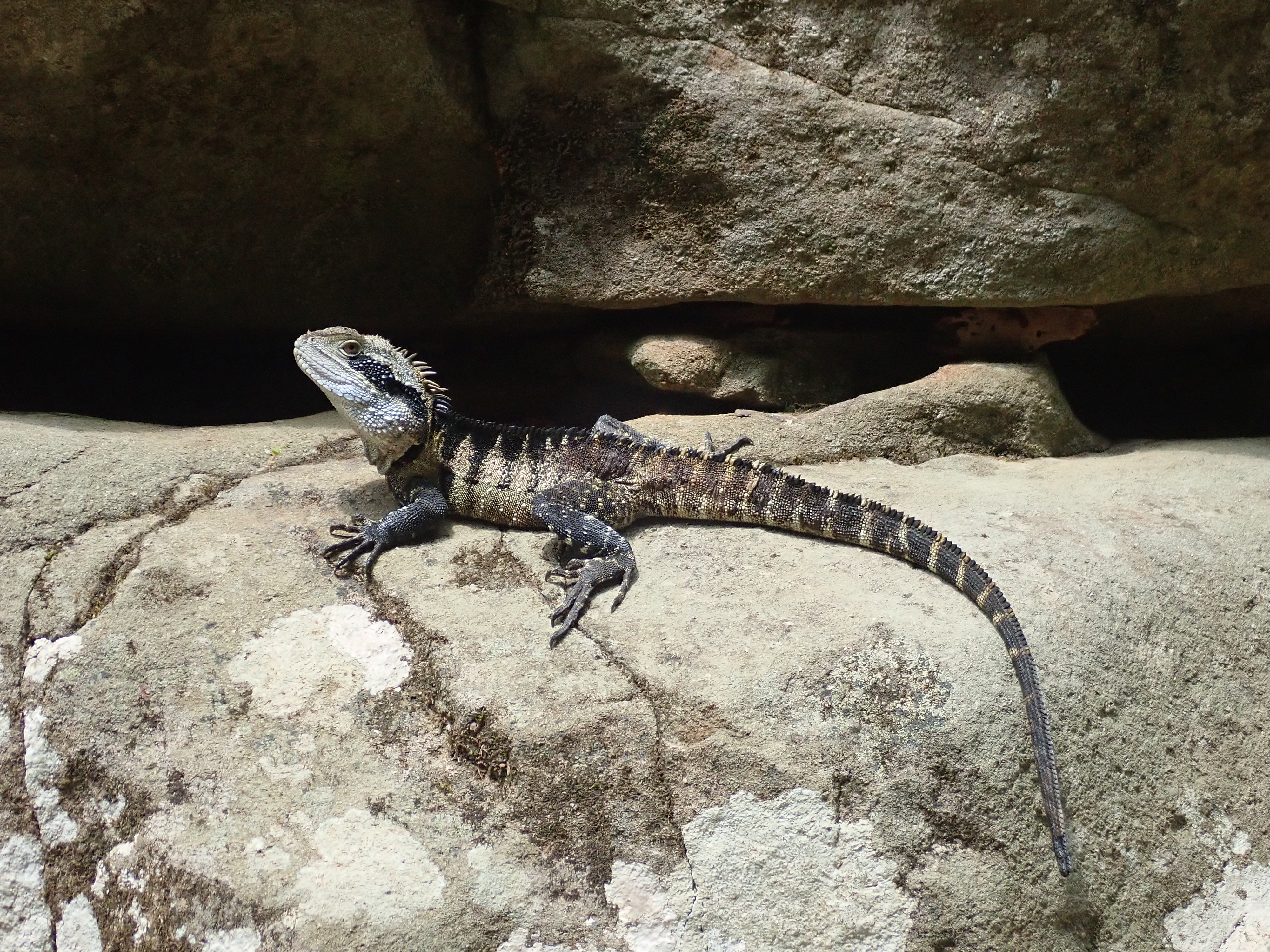 Rainforest Canyon Adventure