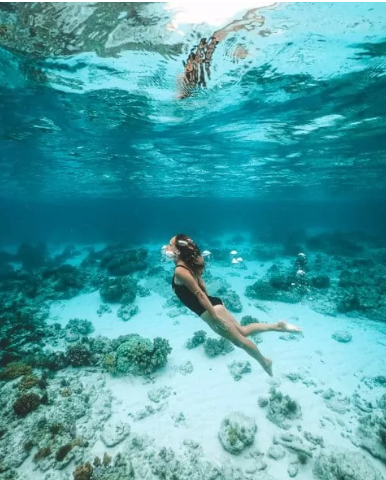 Bohol Island Hopping and Dolphin Watching  - PRIVATE BOAT (Rate per Group)