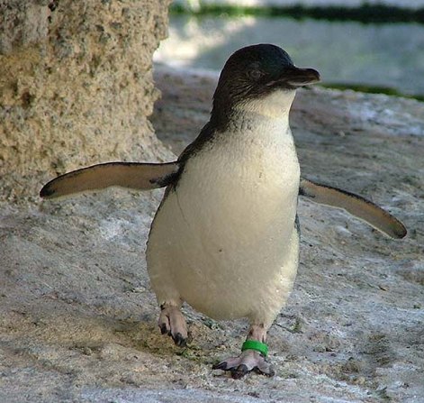 SECRET SYDNEY LUNCH CRUISE
