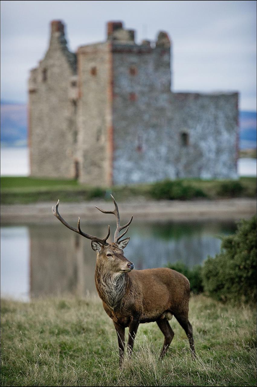 Photography Workshop in Scotland with Peter Sandground & Jamie Simpson