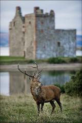 Photography Workshop in Scotland with Peter Sandground & Jamie Simpson