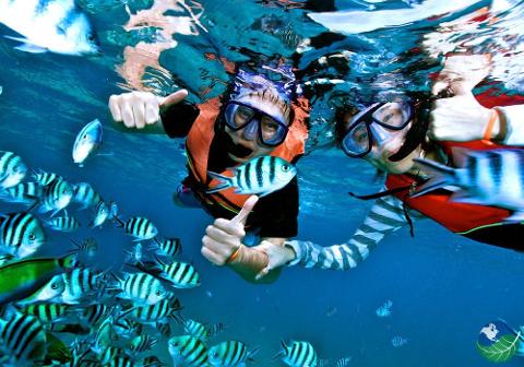 Snorkeling en la Isla del Caño