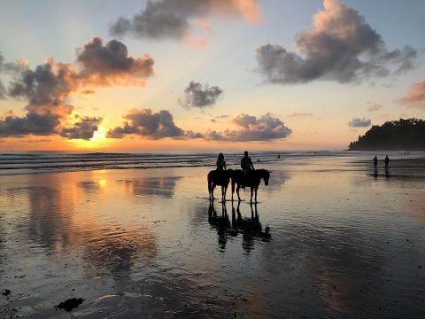 Beach Horsback Riding