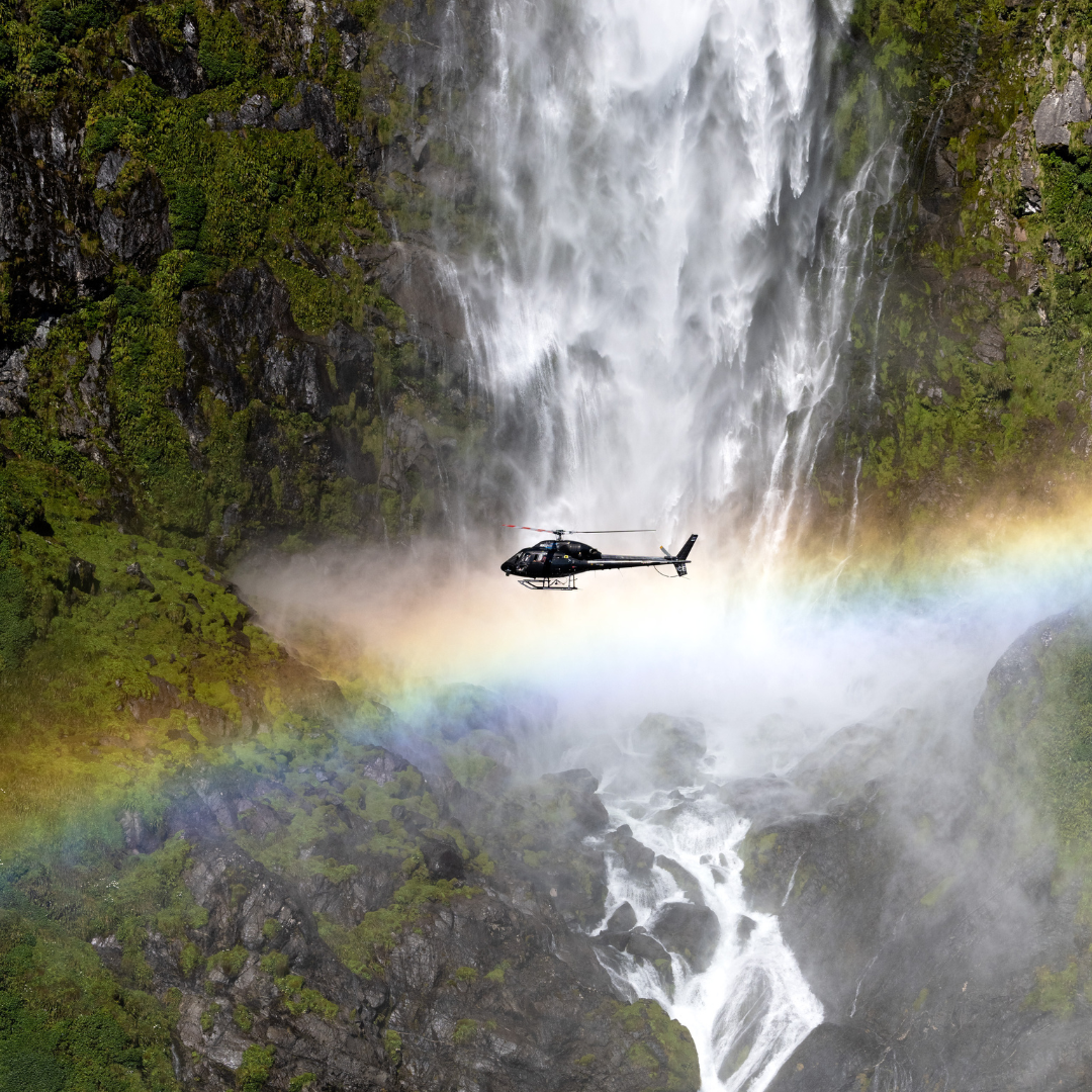 Fiordland's Finest Private Charter