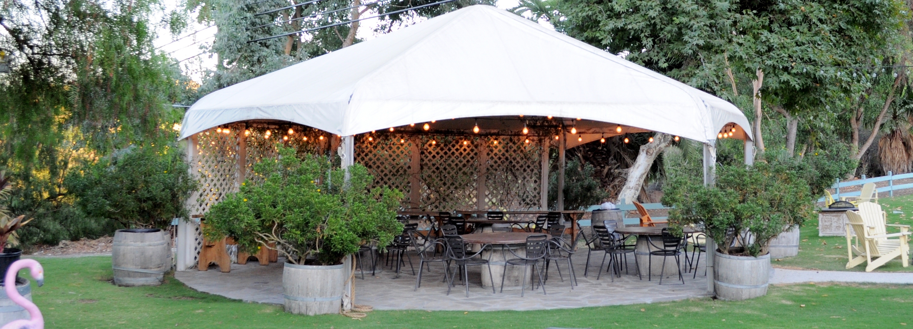 Gazebo - up to 40 guests