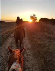 Sunset Trail Ride
