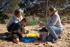 Beachcombing