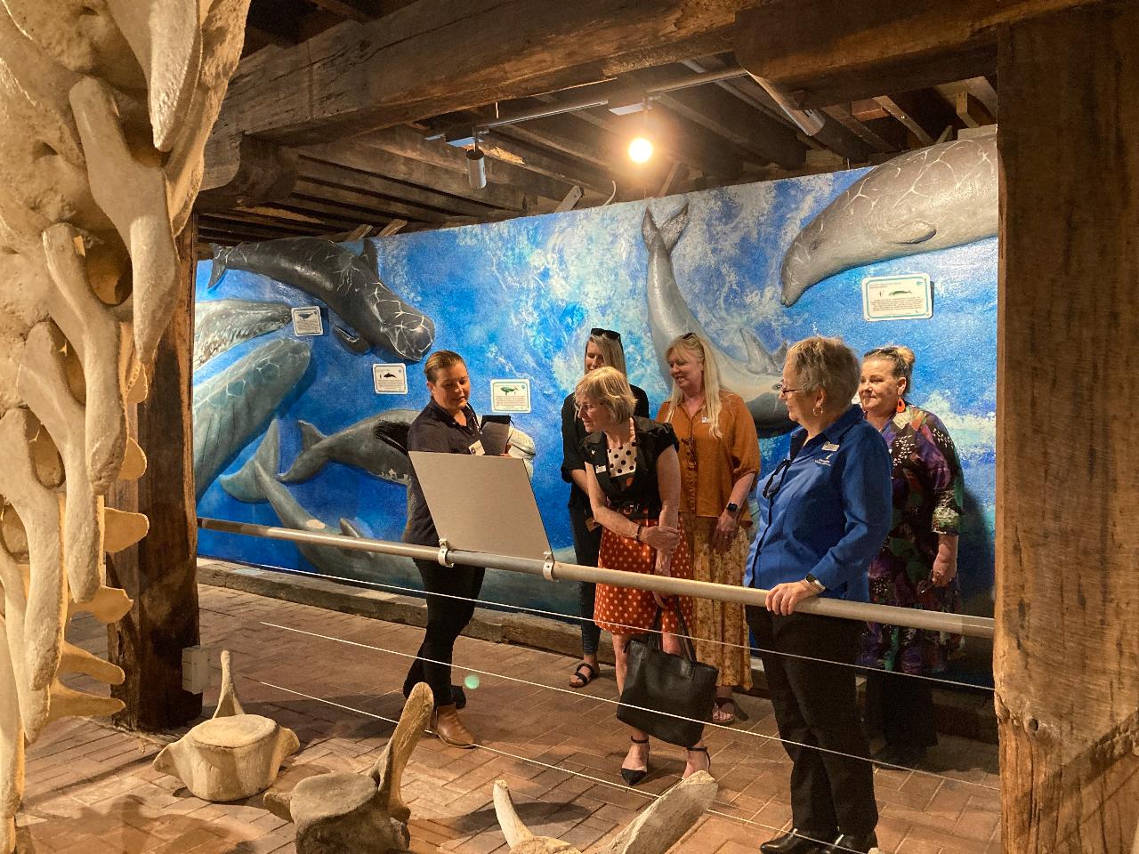 Guided Tour of the Whale Centre