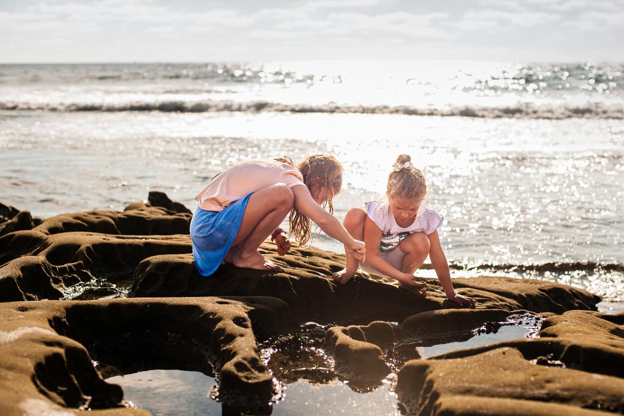 Silly Seaweed- School Holiday Program