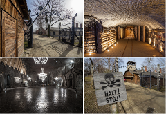 Auschwitz-Birkenau & Wieliczka Salt Mine with Old Time Residence Pickup - English