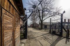 Auschwitz-Birkenau Tour with Meeting Point Pickup and Lunch - English Tour