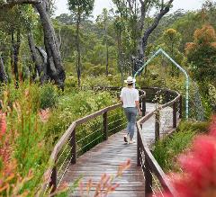 A treasure hunt through ancient forest - Understory Art & Nature Trail