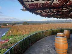  Adelaide Hills or McLaren  Vale  Half Day