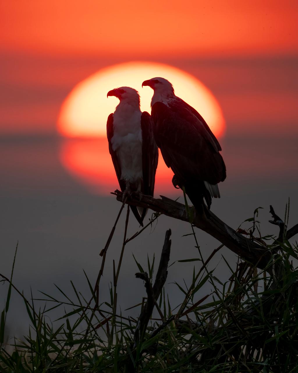 Wildlife Photography Workshop