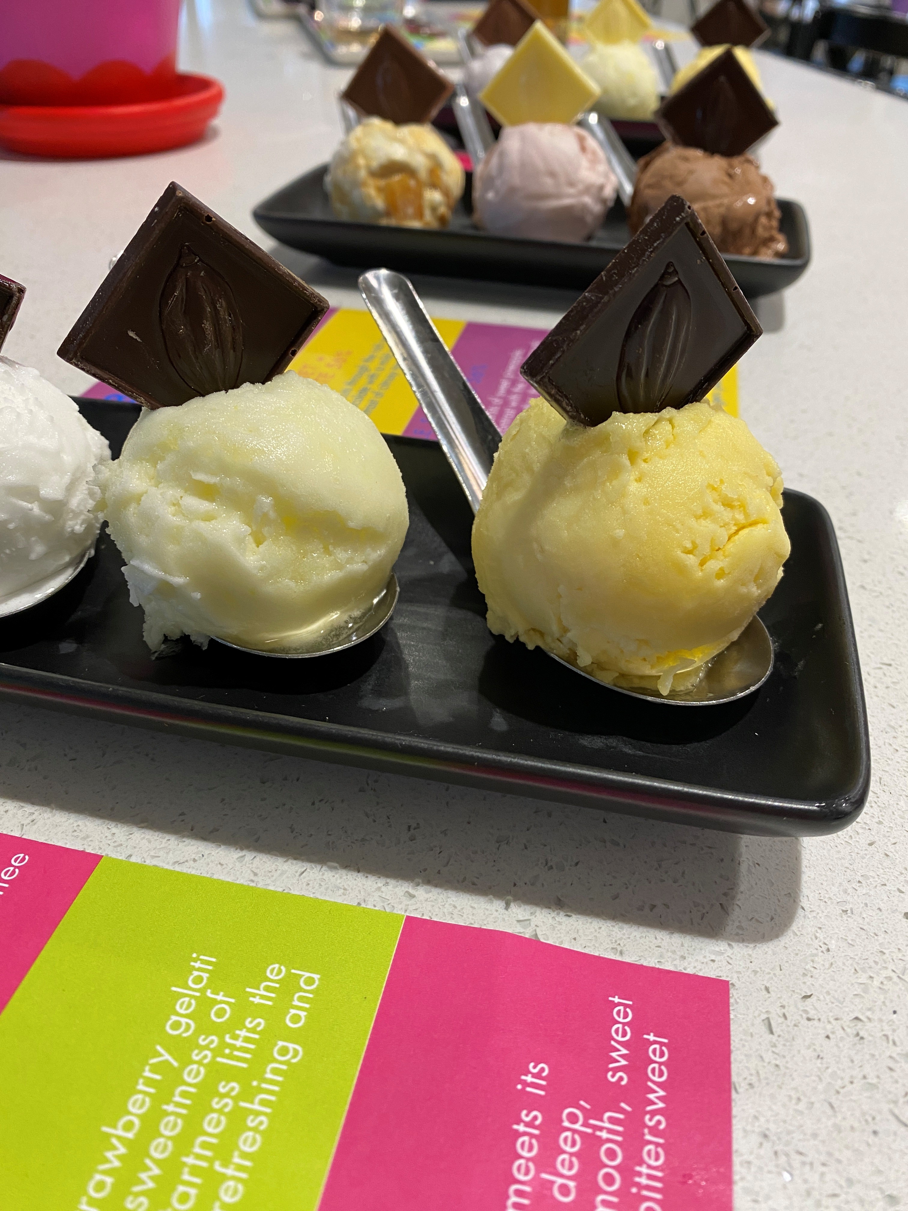 NEW Sorbet & Chocolate Pairing