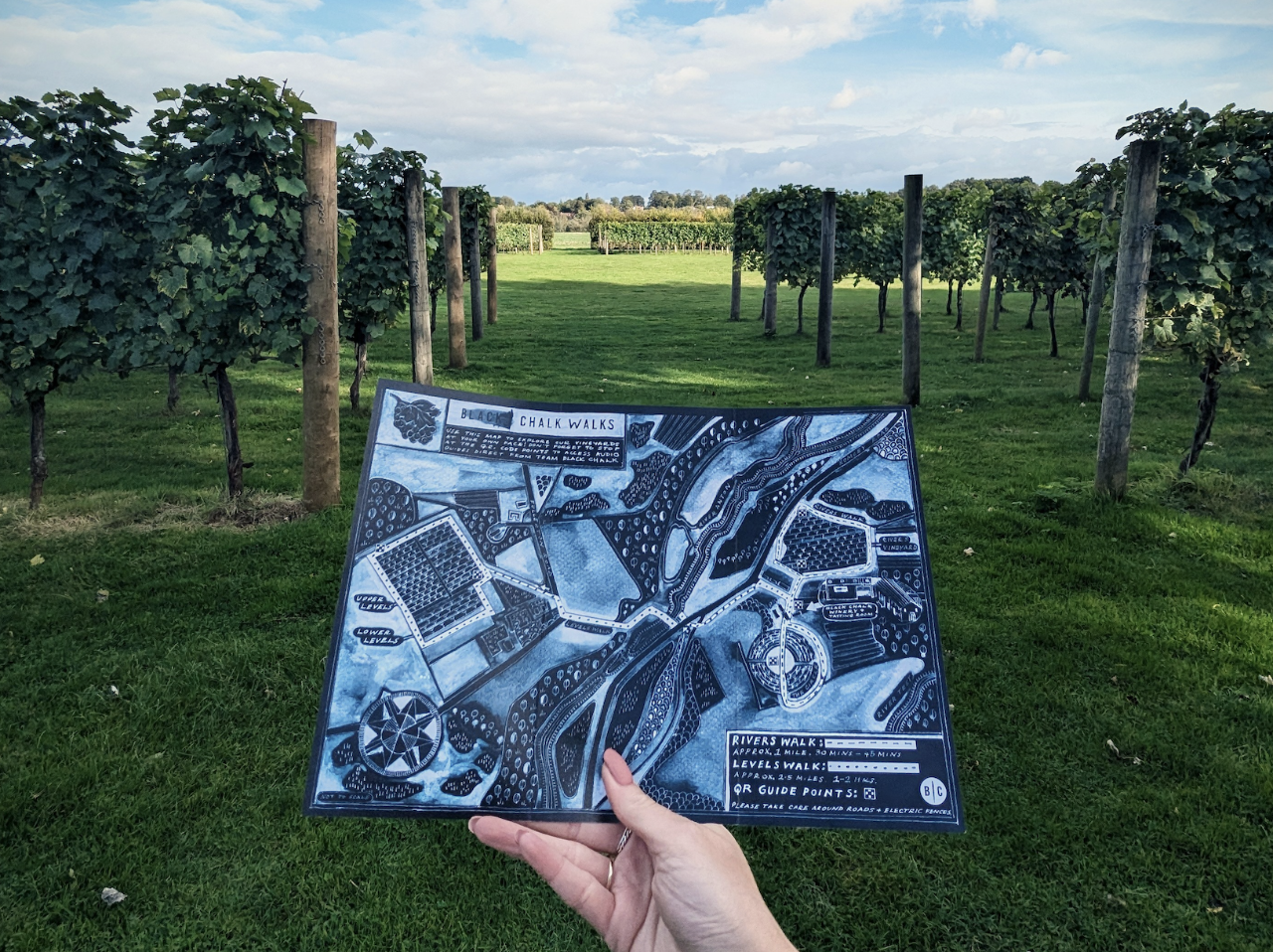 Self-Guided Vineyard Walking Tour