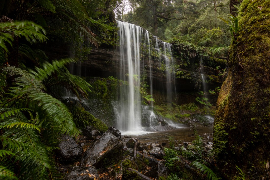 1 Day   Wilderness and Whiskey Walks.