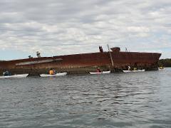 Adelaide Dolphin Sanctuary and Ships Graveyard tour