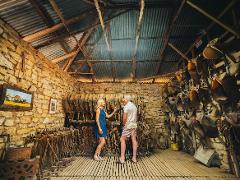 Darr River Downs Scenic Experience with Station Tour & Lunch