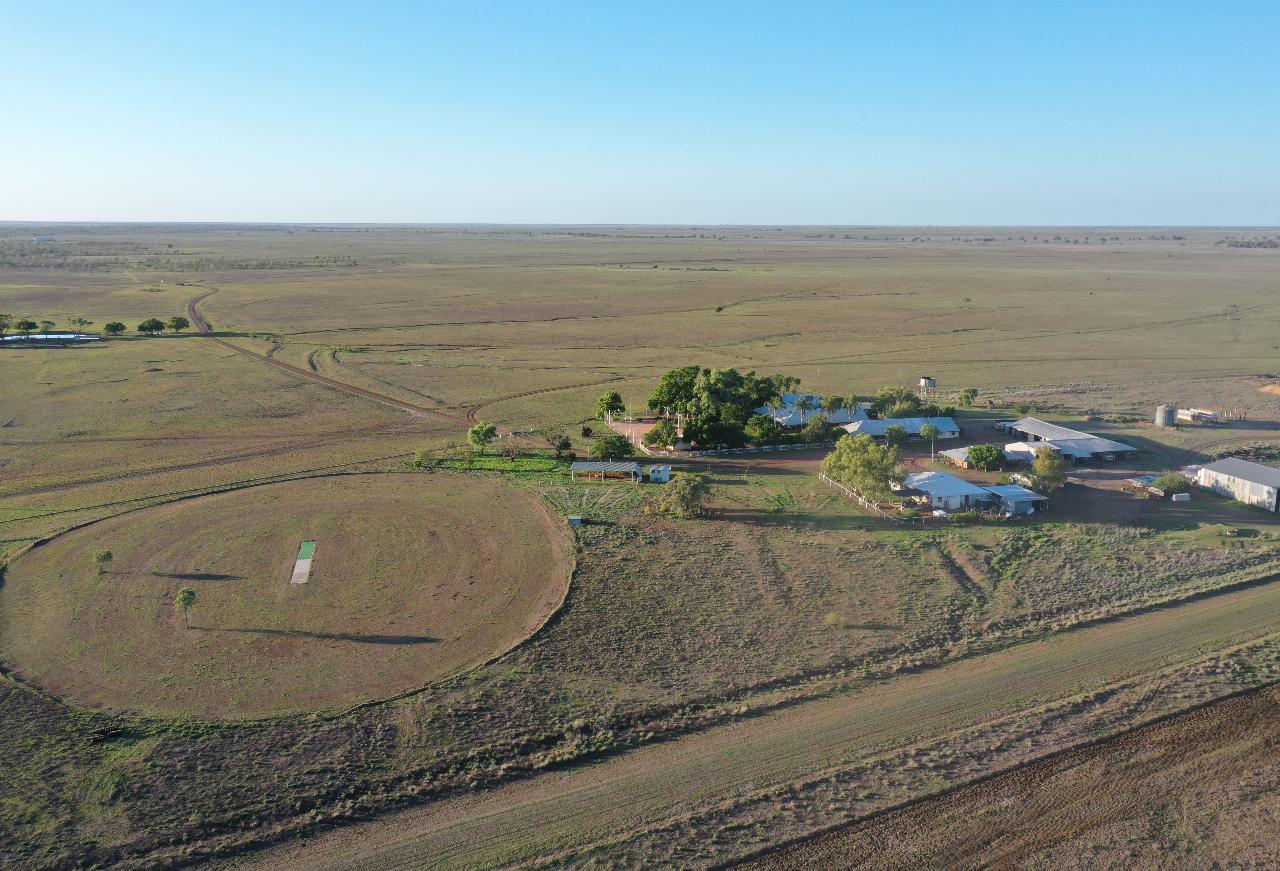 Darr River Downs Scenic Experience with Station Tour & Morning Tea 