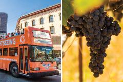 San Francisco City and Wine Country Tour