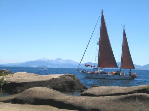 6.30pm, Maori Rock Carvings Tour