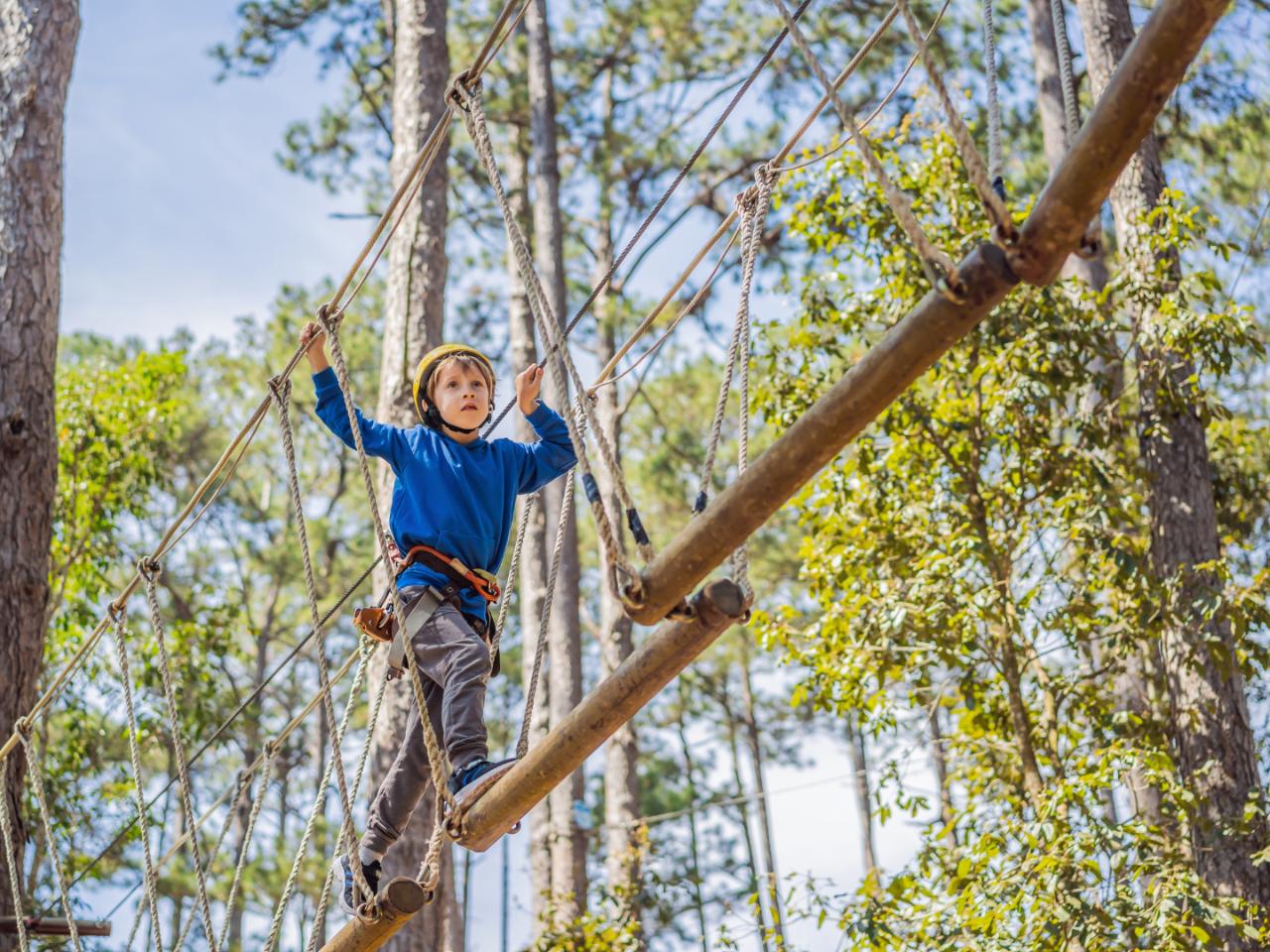 QLD - One-Day Tree Top Family Adventure 