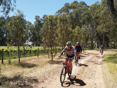 SA - Two-Night Mountain Bike Winery Adventure