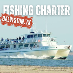 USA - Galveston Fishing Charter (TX)