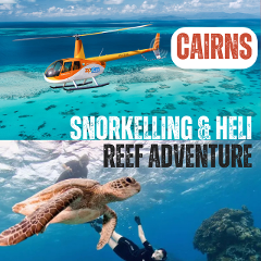 QLD - Cairns Reef Heli and snorkeling adventure 