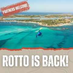 WA - Rotto is back!