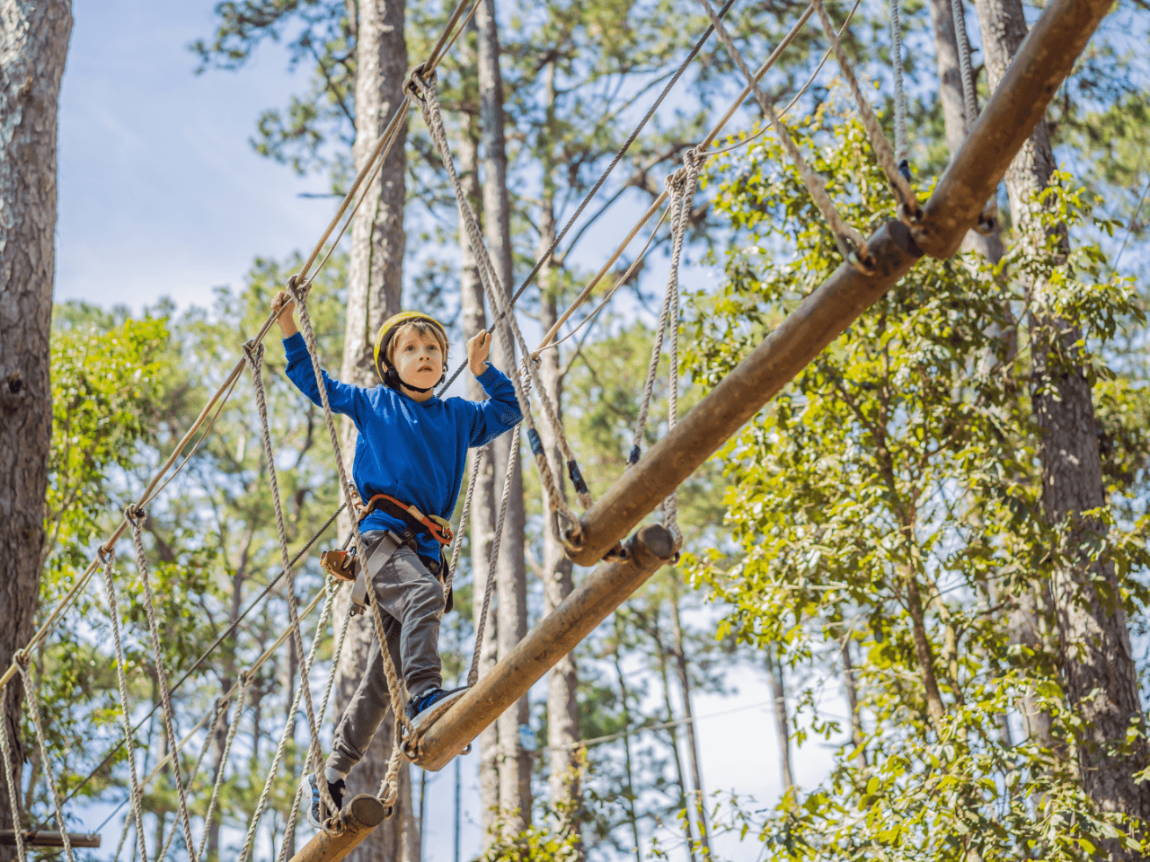 QLD - One-Day Tree Top Family Adventure  + Dig it!