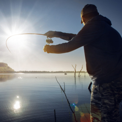 QLD - Fancy A Flick? Brisbane fishing Charter! 