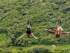 QLD - Two Night Ziplining Adventure