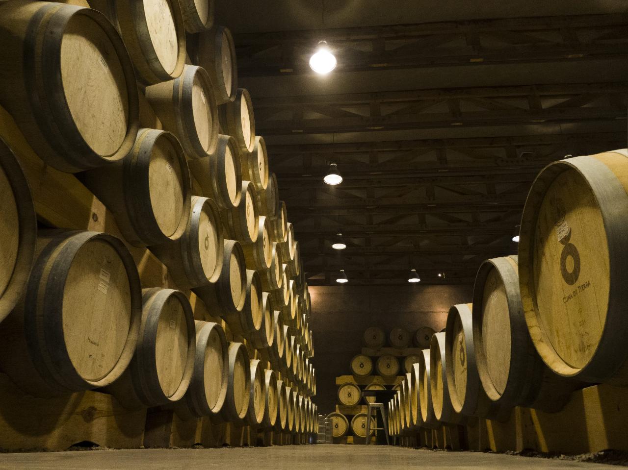 Guided Tour · English 