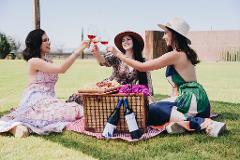 PAQUETE PICNIC