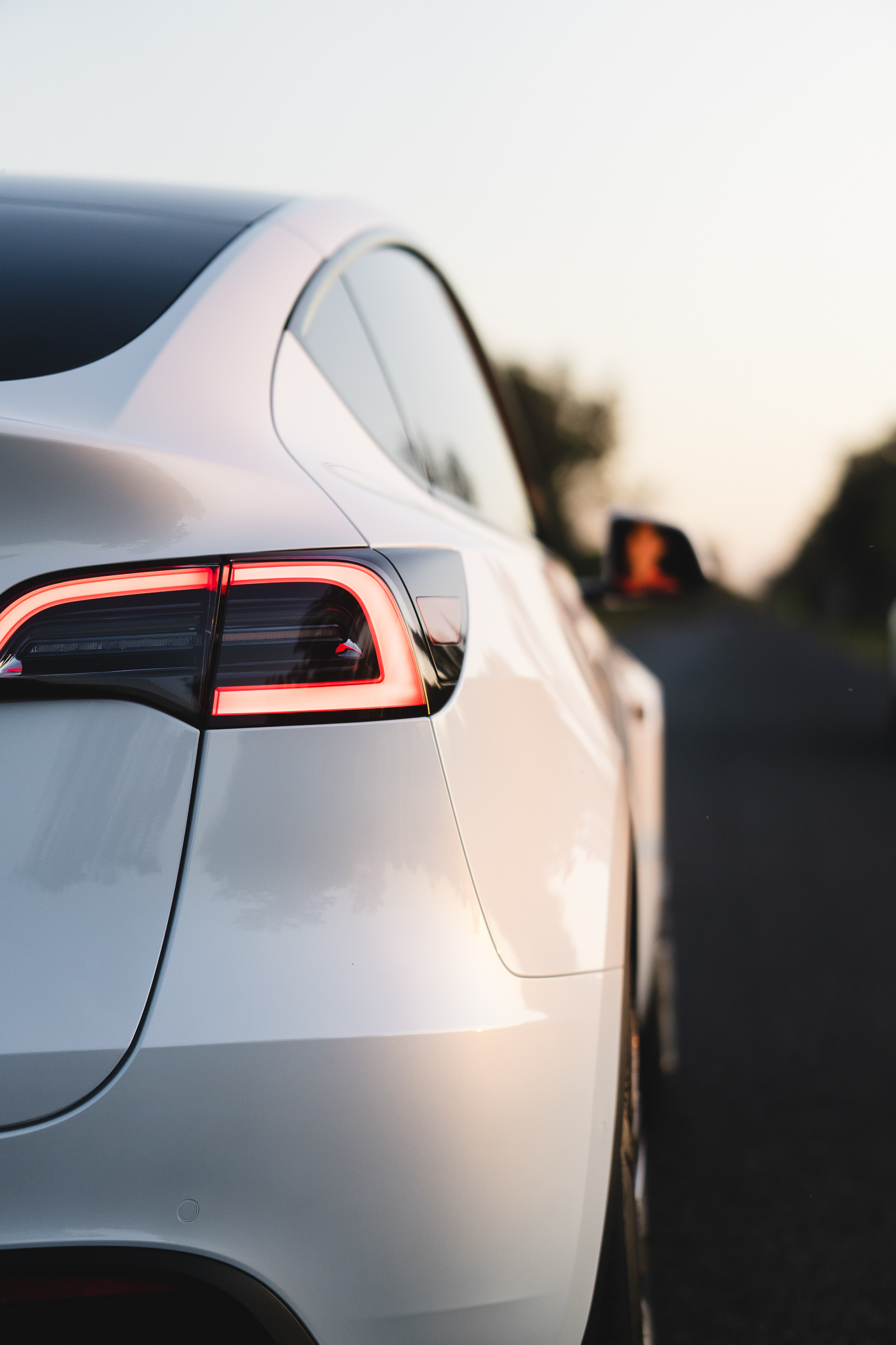 Private Tesla Transfer (BAL-BY)