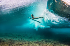 Honu Honi Duck Diving Clinic