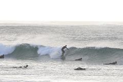 Summer Intensives – Push and Progress 2B | 2-Day Surf Intensive