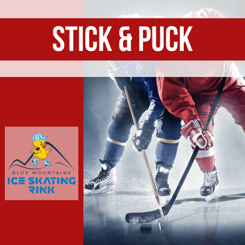 Stick_and_Puck