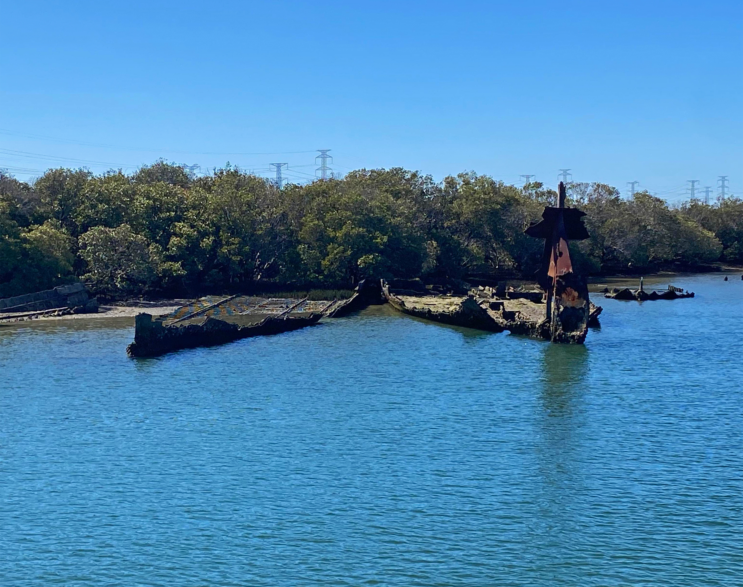 90-minute Port River Dolphin & Ships Graveyard Cruise