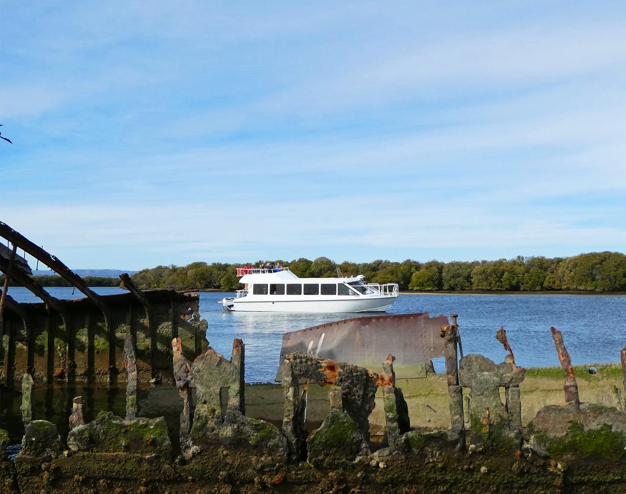 SENIOR & DISABILITY GROUP PRIVATE TOUR - Port River Dolphin & Ships Graveyard