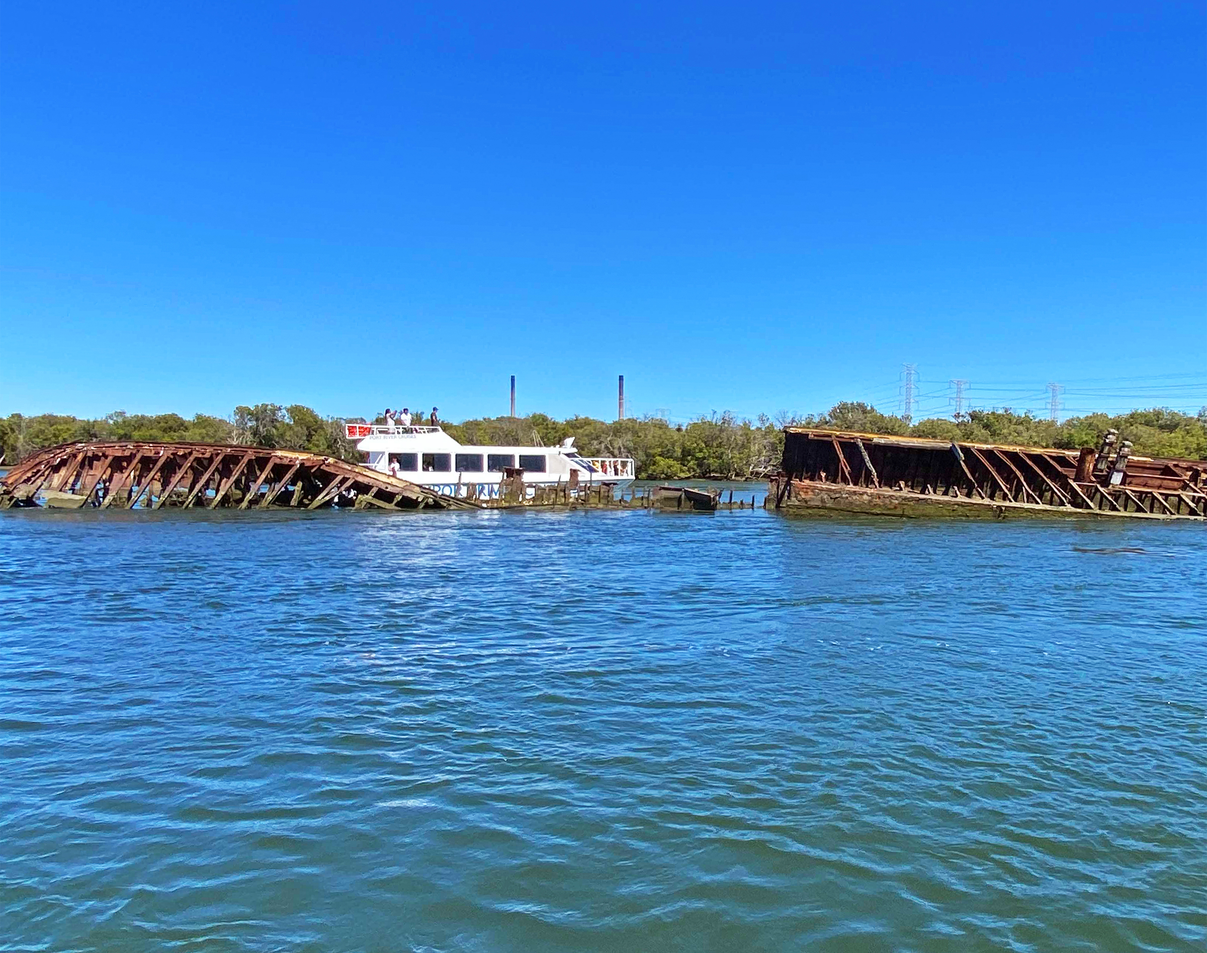 90-minute Port River Dolphin & Ships Graveyard Cruise