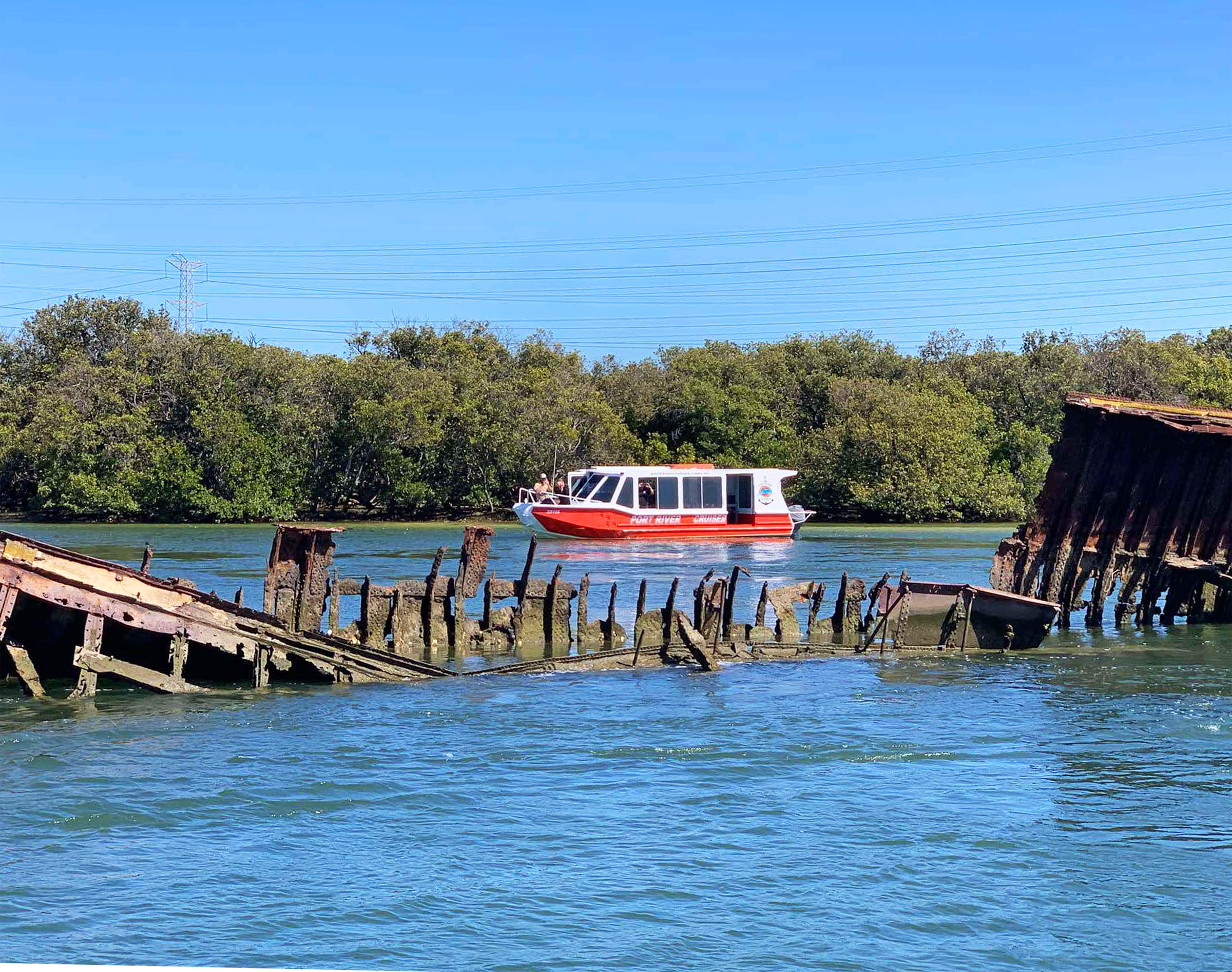 90-minute Port River Dolphin & Ships Graveyard Cruise