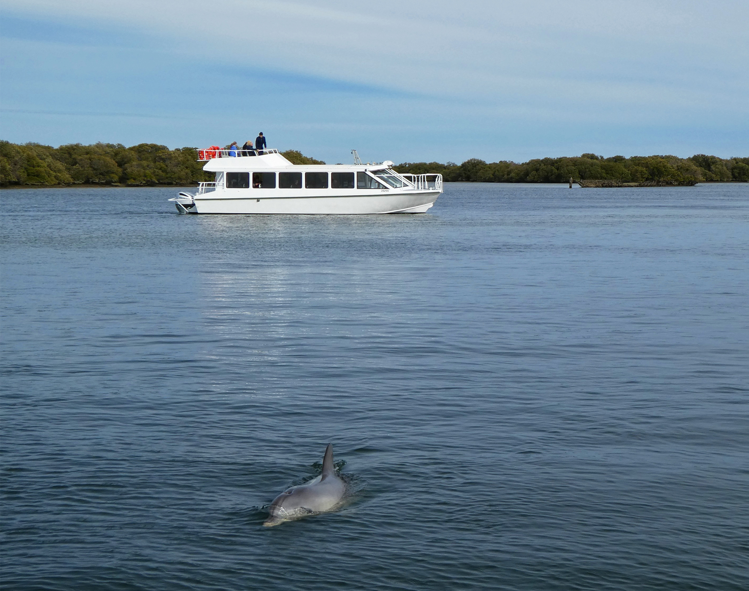 Senior Social Club Port River cruise experience
