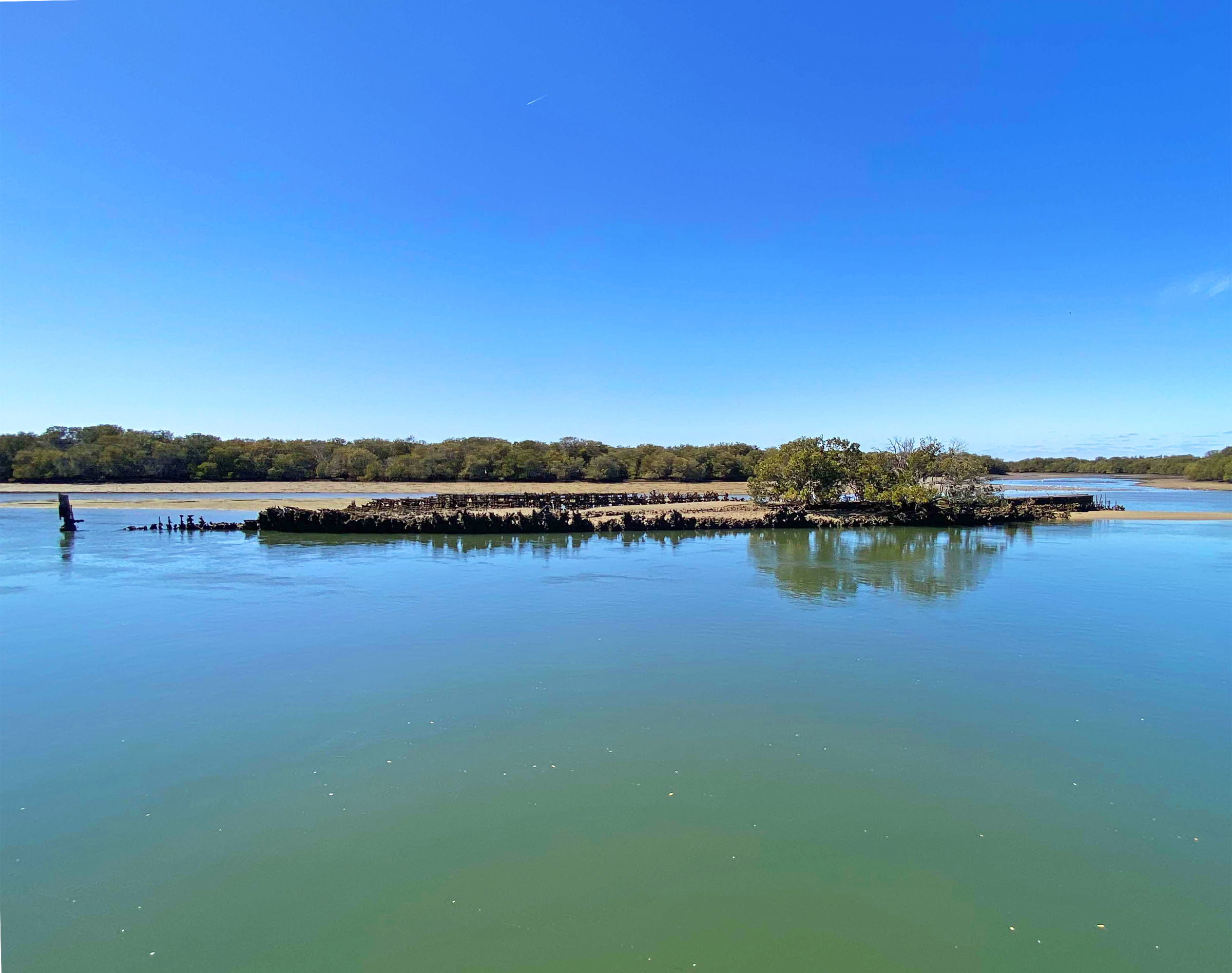 90-minute Port River Dolphin & Ships Graveyard Cruise